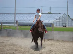 乗馬 写真