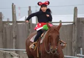 ホースセラピーの様子